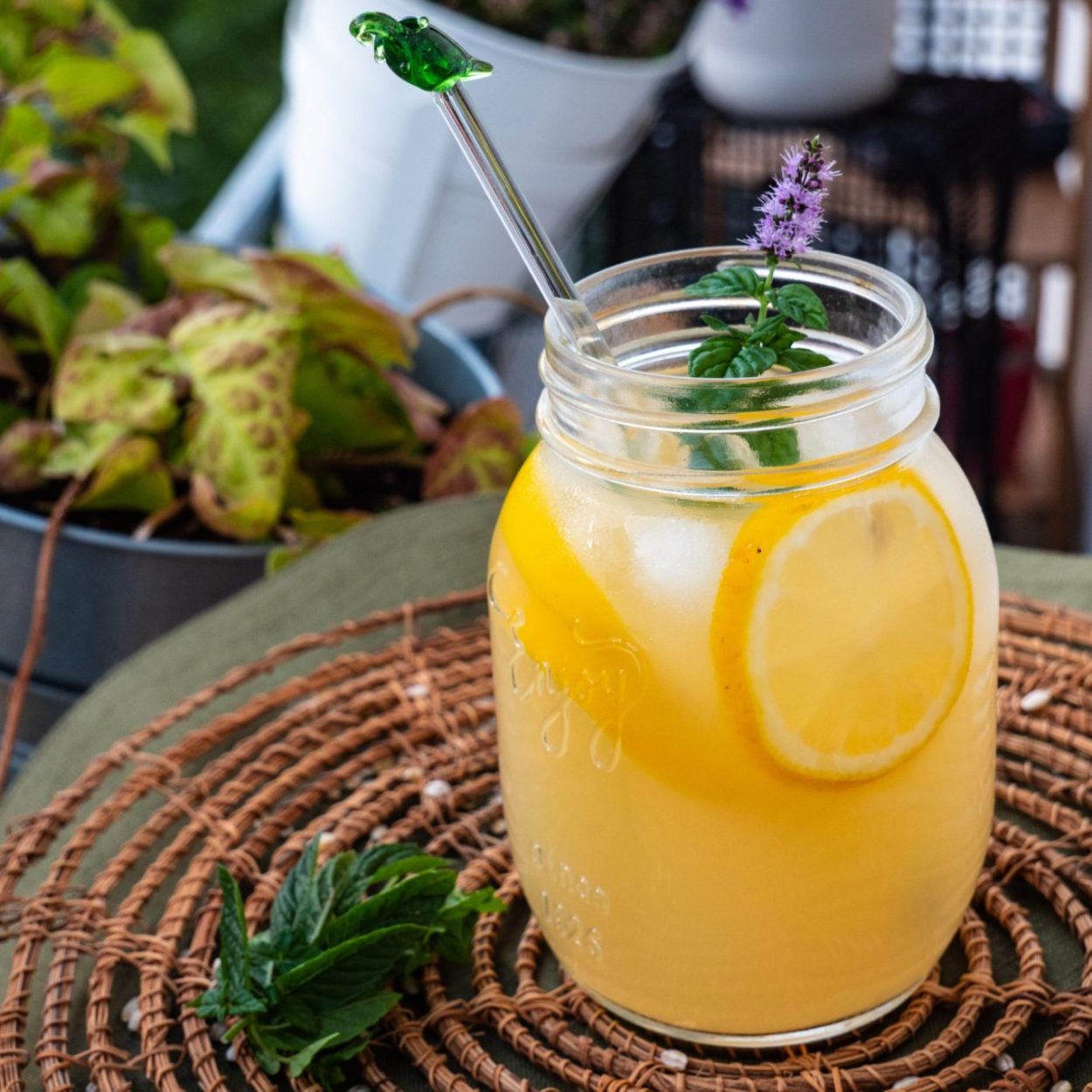 Lemon and barley water – Infusion d’orge perlé au citron