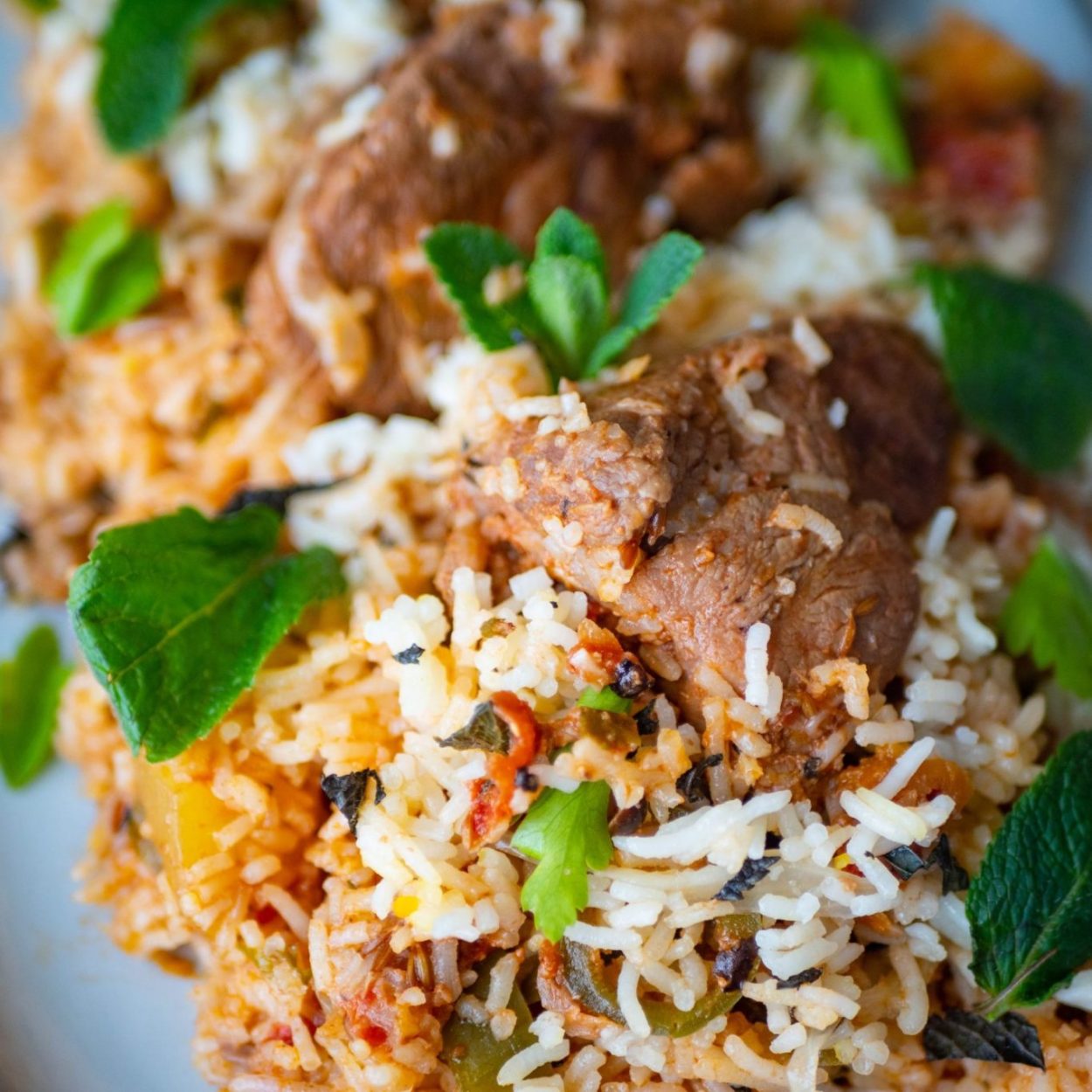 Sindhi Biryani - Recette de riz pakistanais - DUMPLINGS & MORE