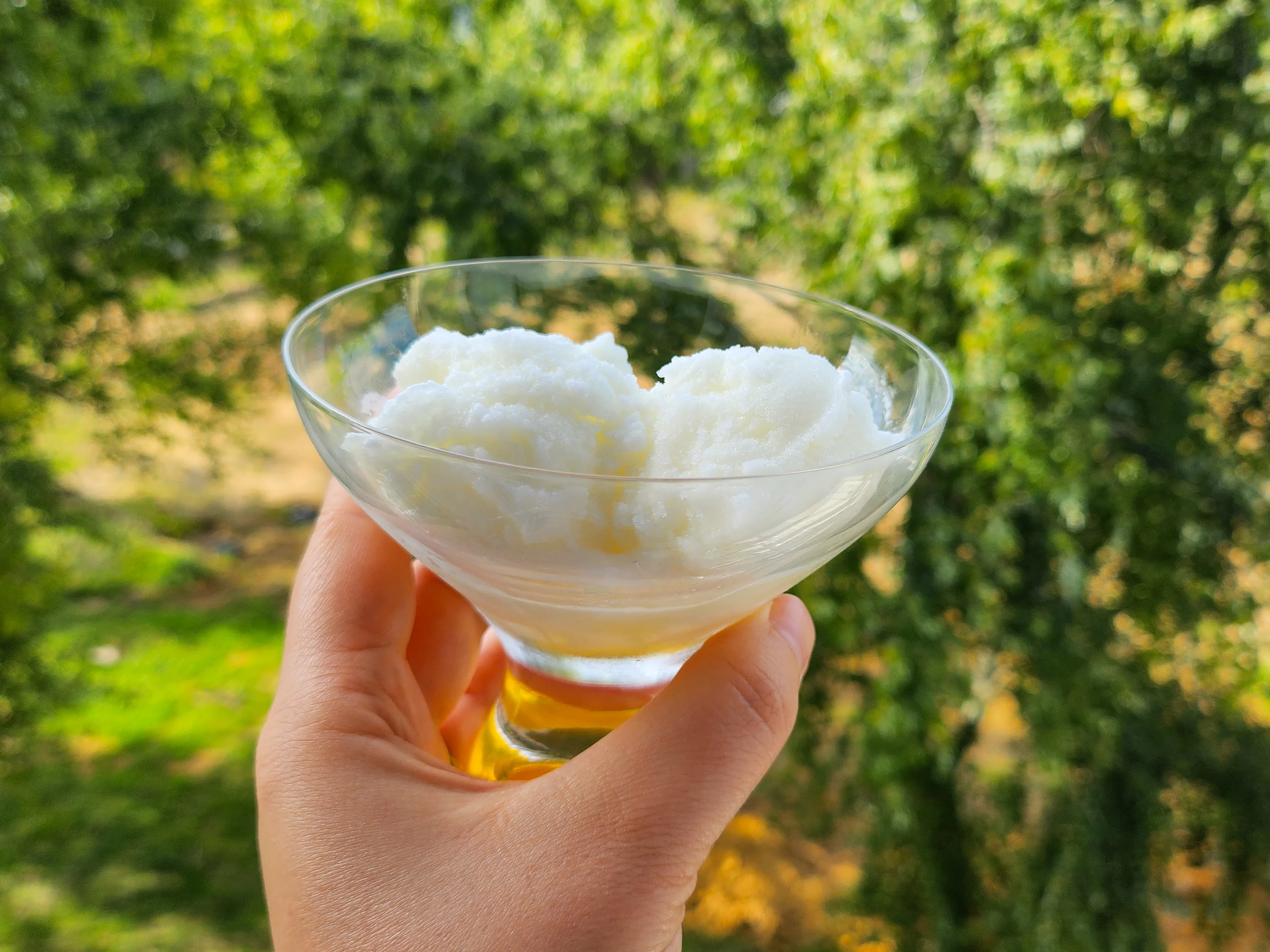 Créponné algérien : la meilleure recette de glace au citron maison pour l’été